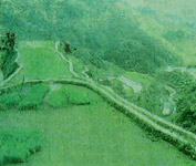 a view of banaue rice terraces