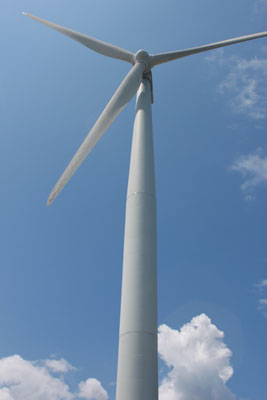 Bangui Bay wind mills